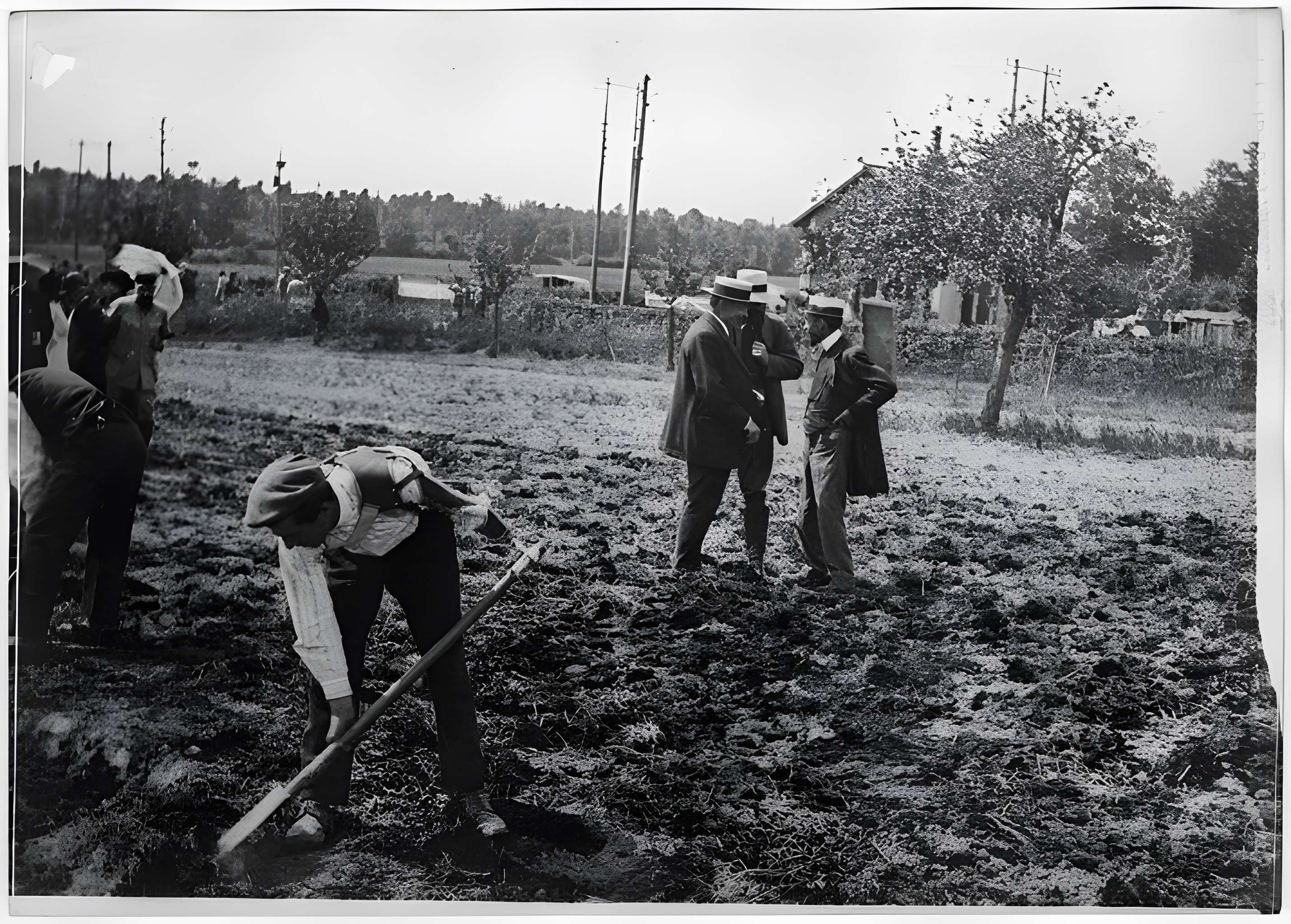 Ecole d'Agriculture de Rennes, aujourd'hui Agrocampus Ouest