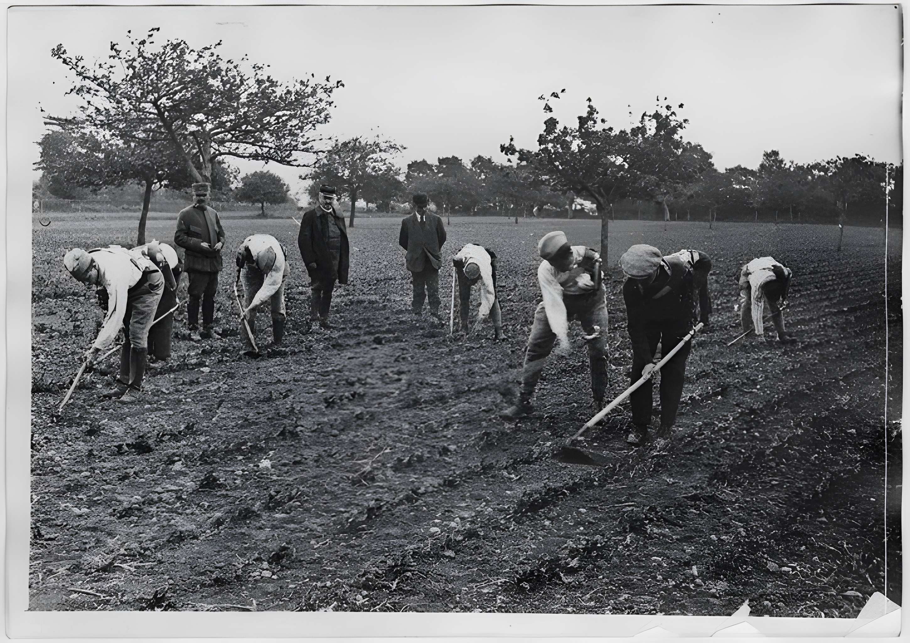 Ecole d'Agriculture de Rennes, aujourd'hui Agrocampus Ouest