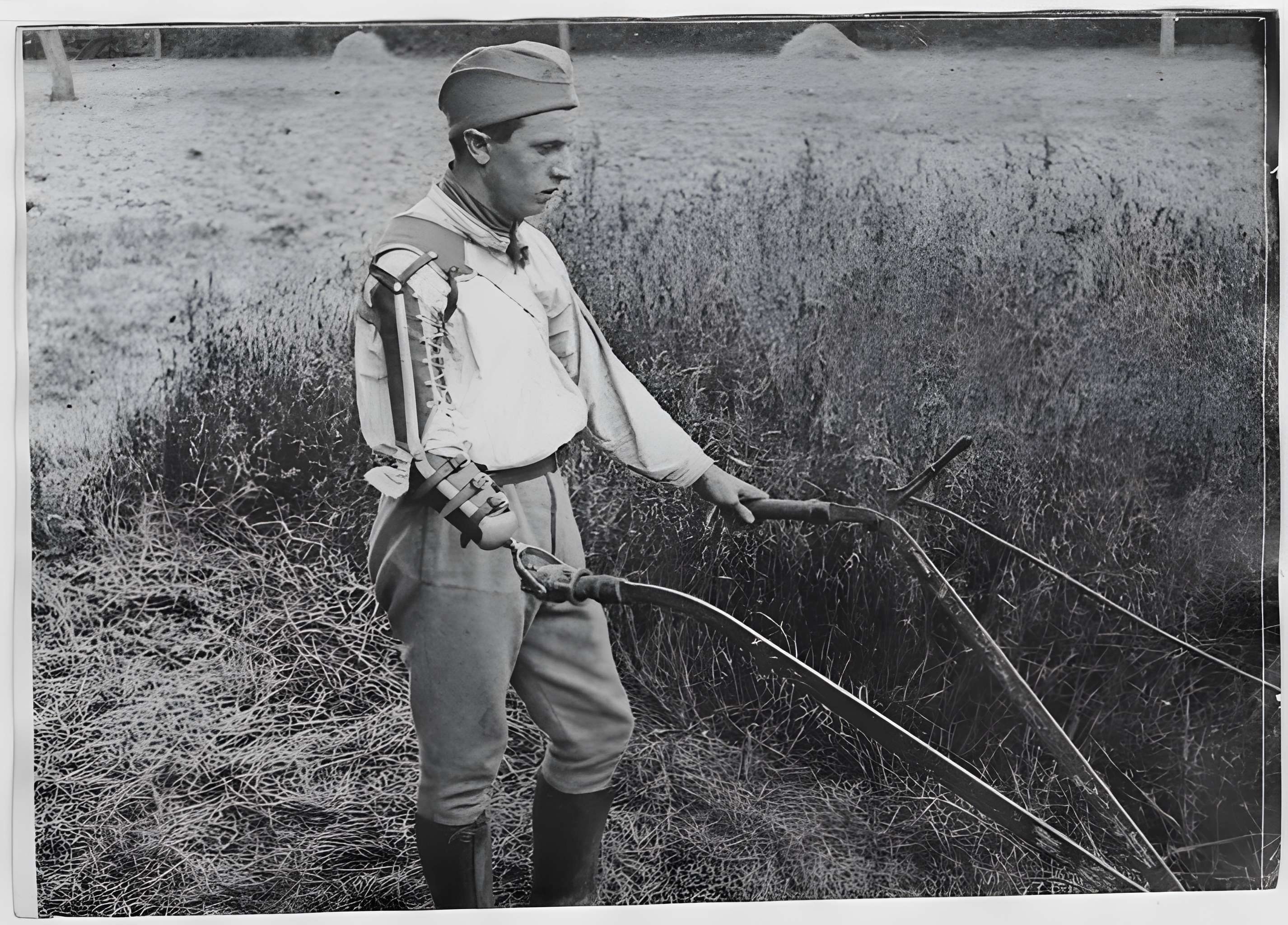 Ecole d'Agriculture de Rennes, aujourd'hui Agrocampus Ouest
