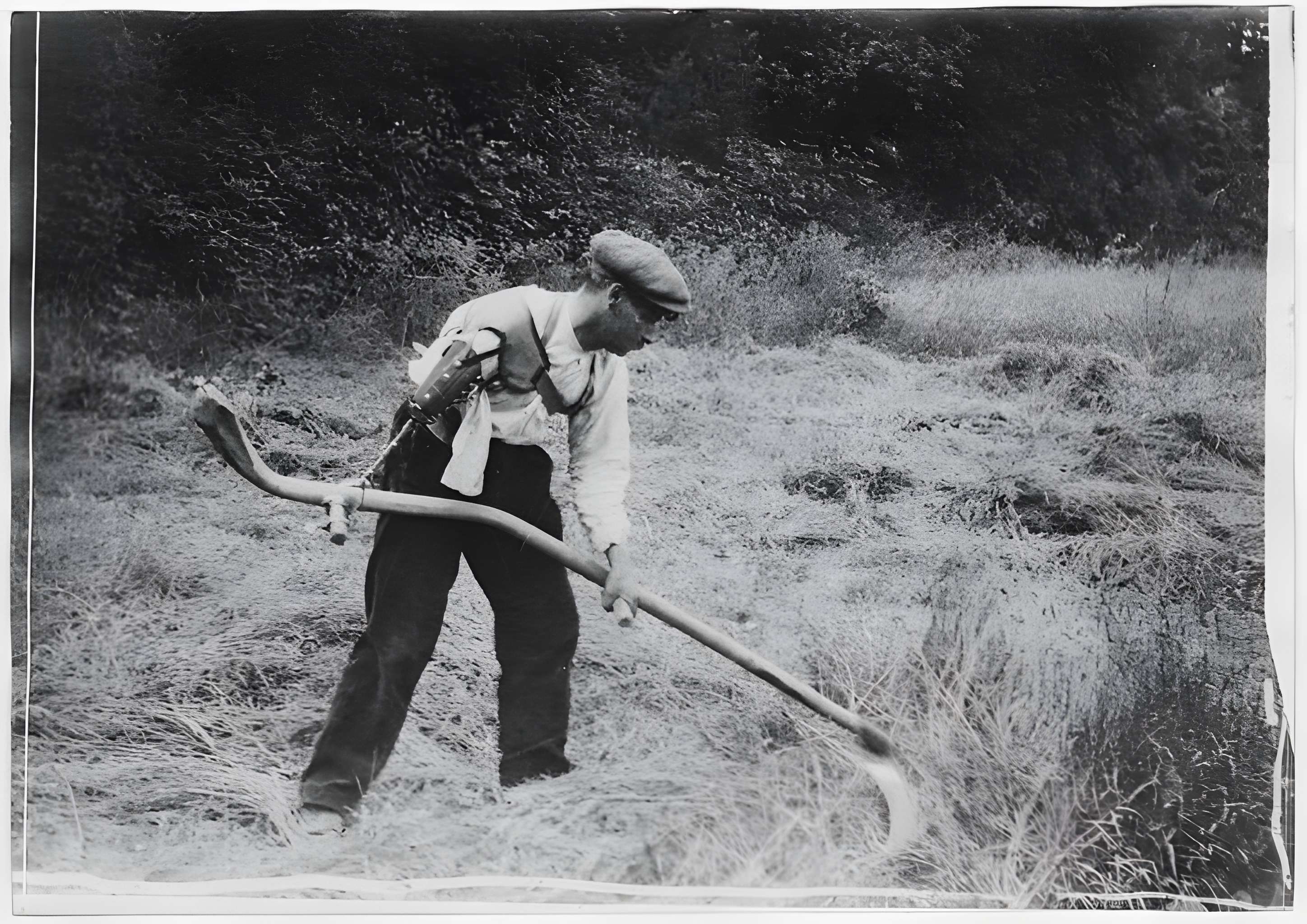 Ecole d'Agriculture de Rennes, aujourd'hui Agrocampus Ouest