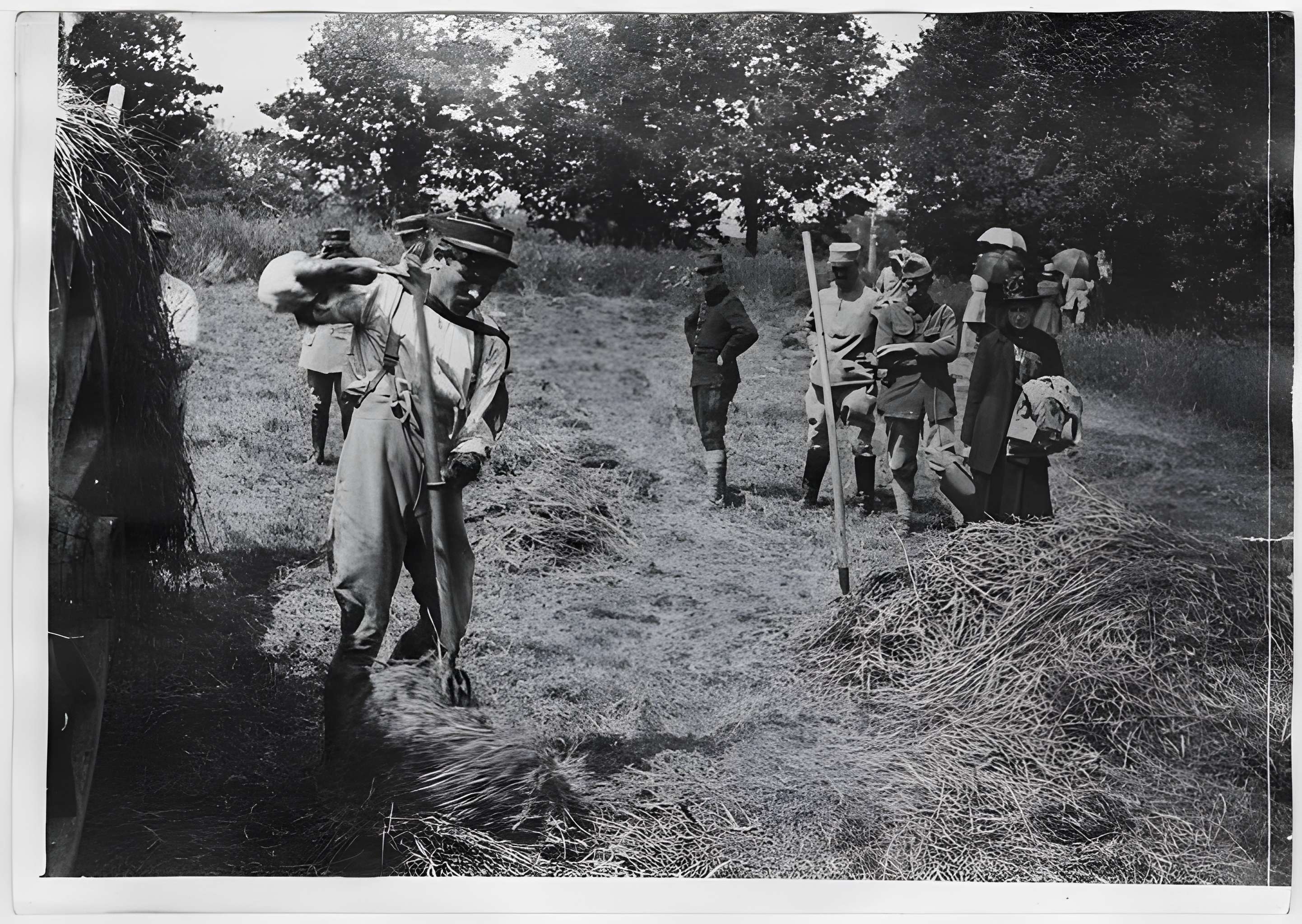 Ecole d'Agriculture de Rennes, aujourd'hui Agrocampus Ouest