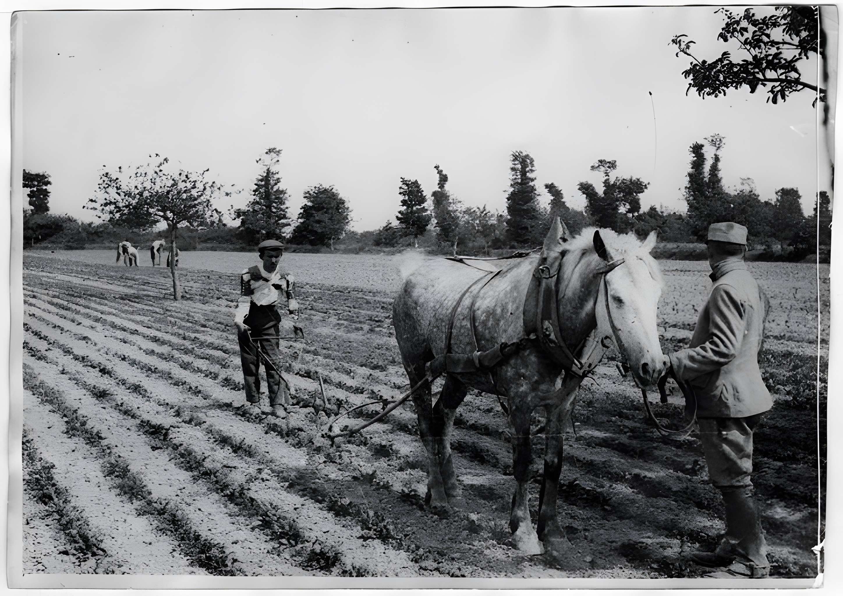 Ecole d'Agriculture de Rennes, aujourd'hui Agrocampus Ouest