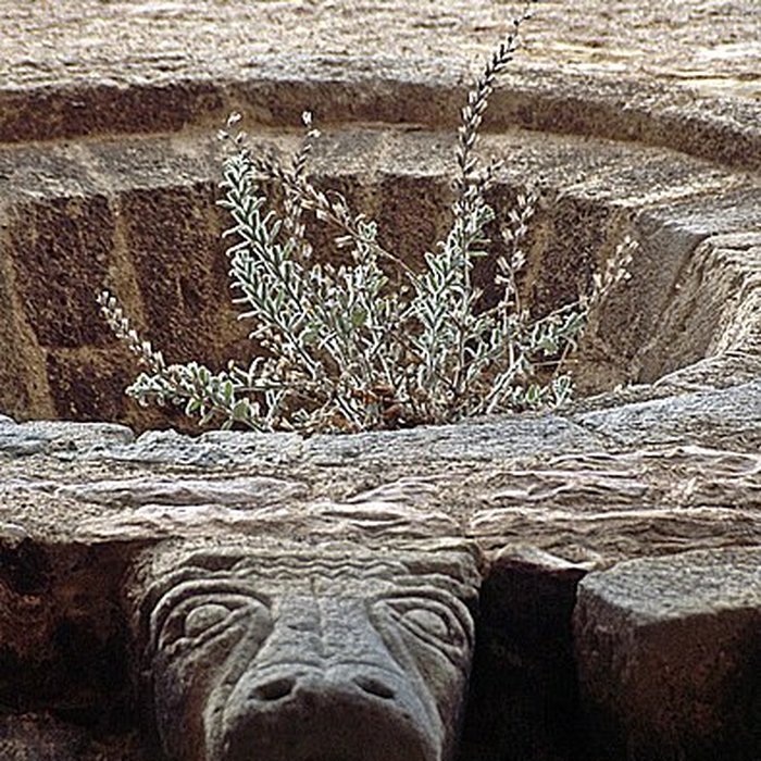 Photo de Église Sainte-Marie de Quarante