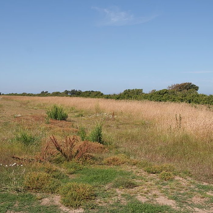 Photo de Retranchement de lâge du Fer et de la pointe de Meinga