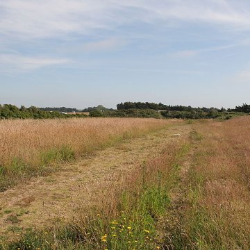 Retranchement de lâge du Fer et de la pointe de Meinga