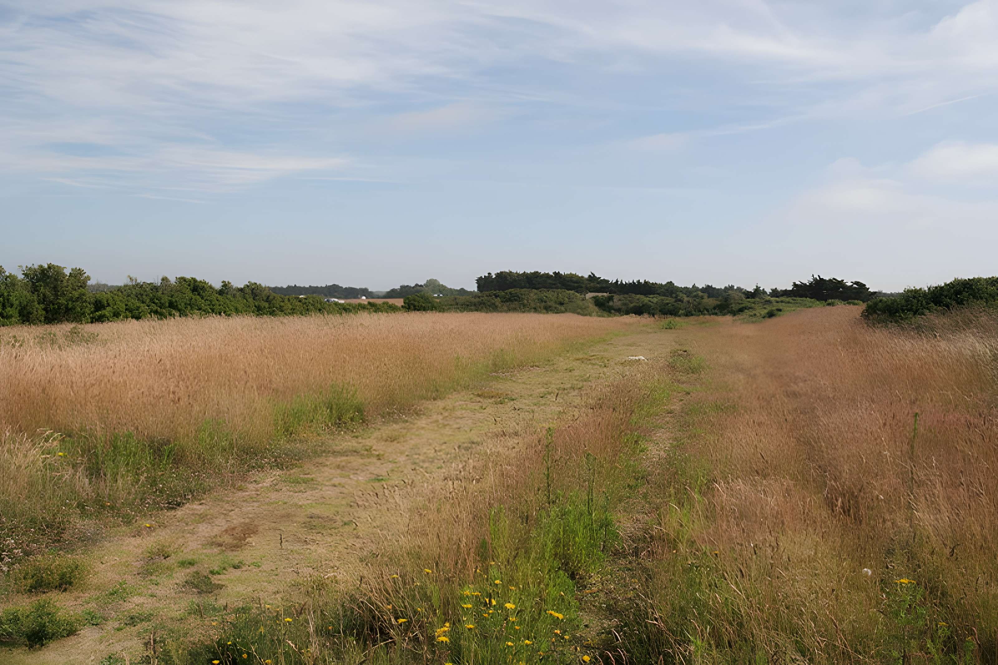 Retranchement de l'âge du Fer et de la pointe de Meinga