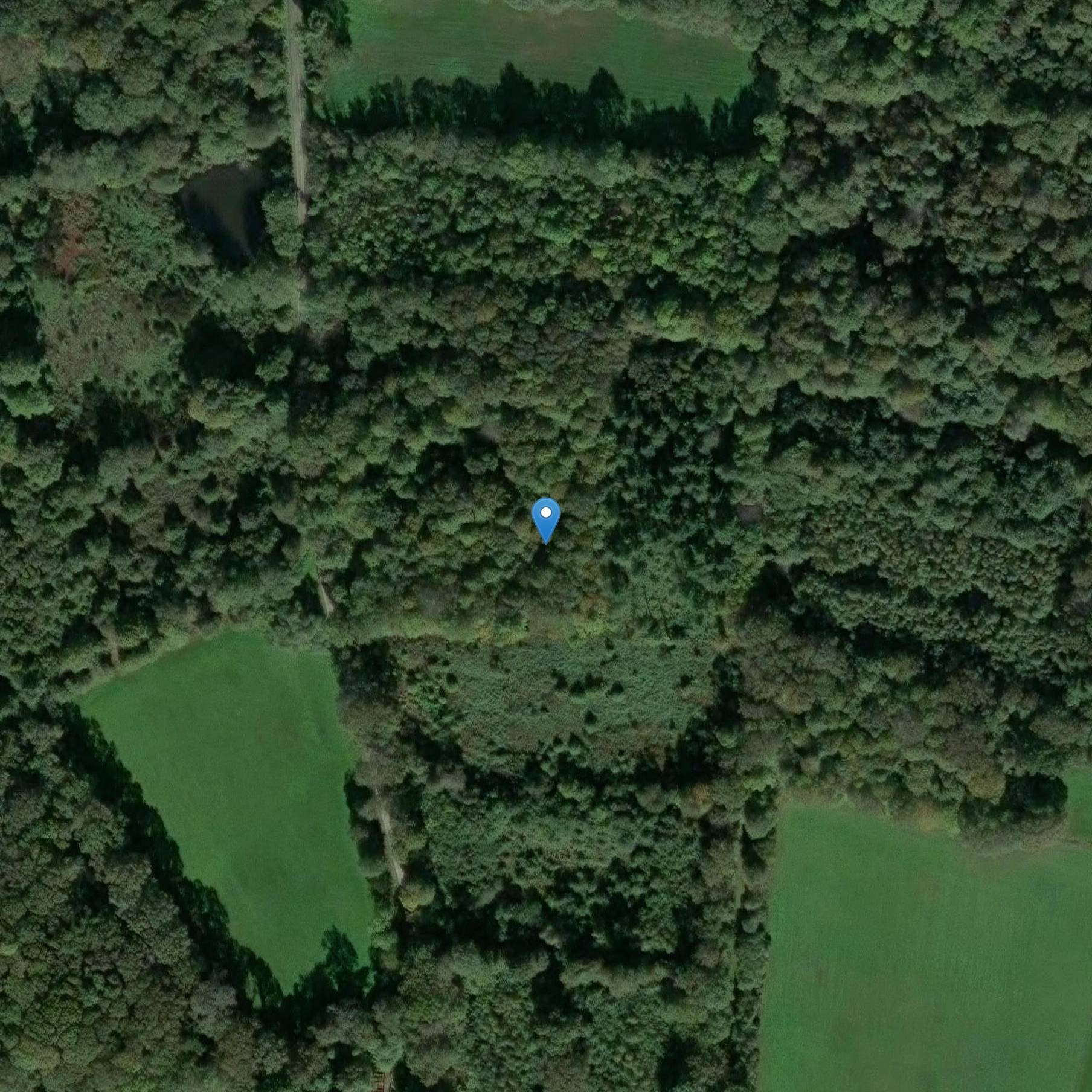 Photo de Bigotayy Earth schwanger