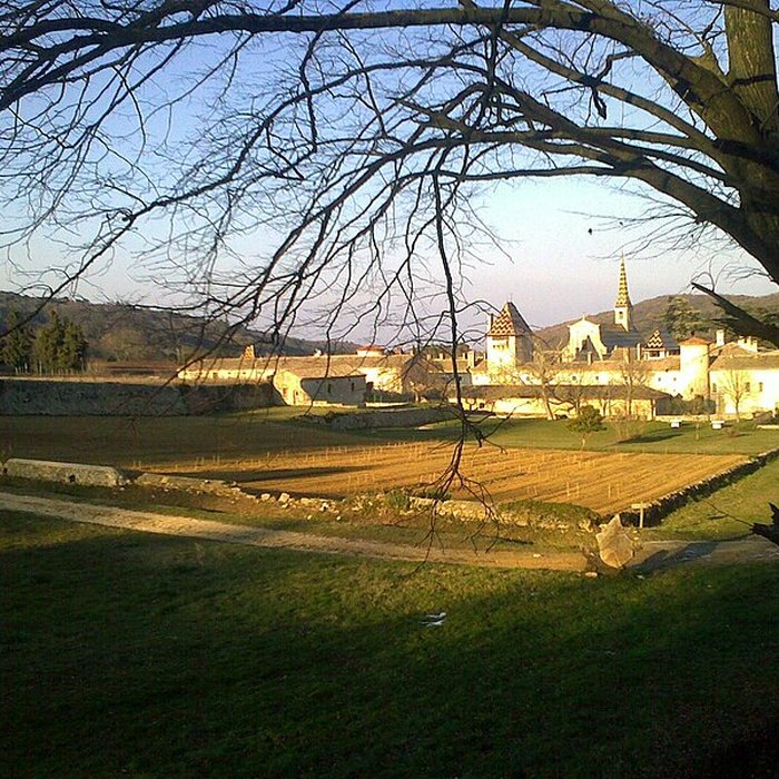 Photo de Chartreuse de Valbonne