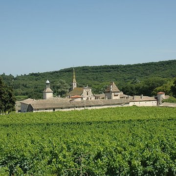 Chartreuse de Valbonne
