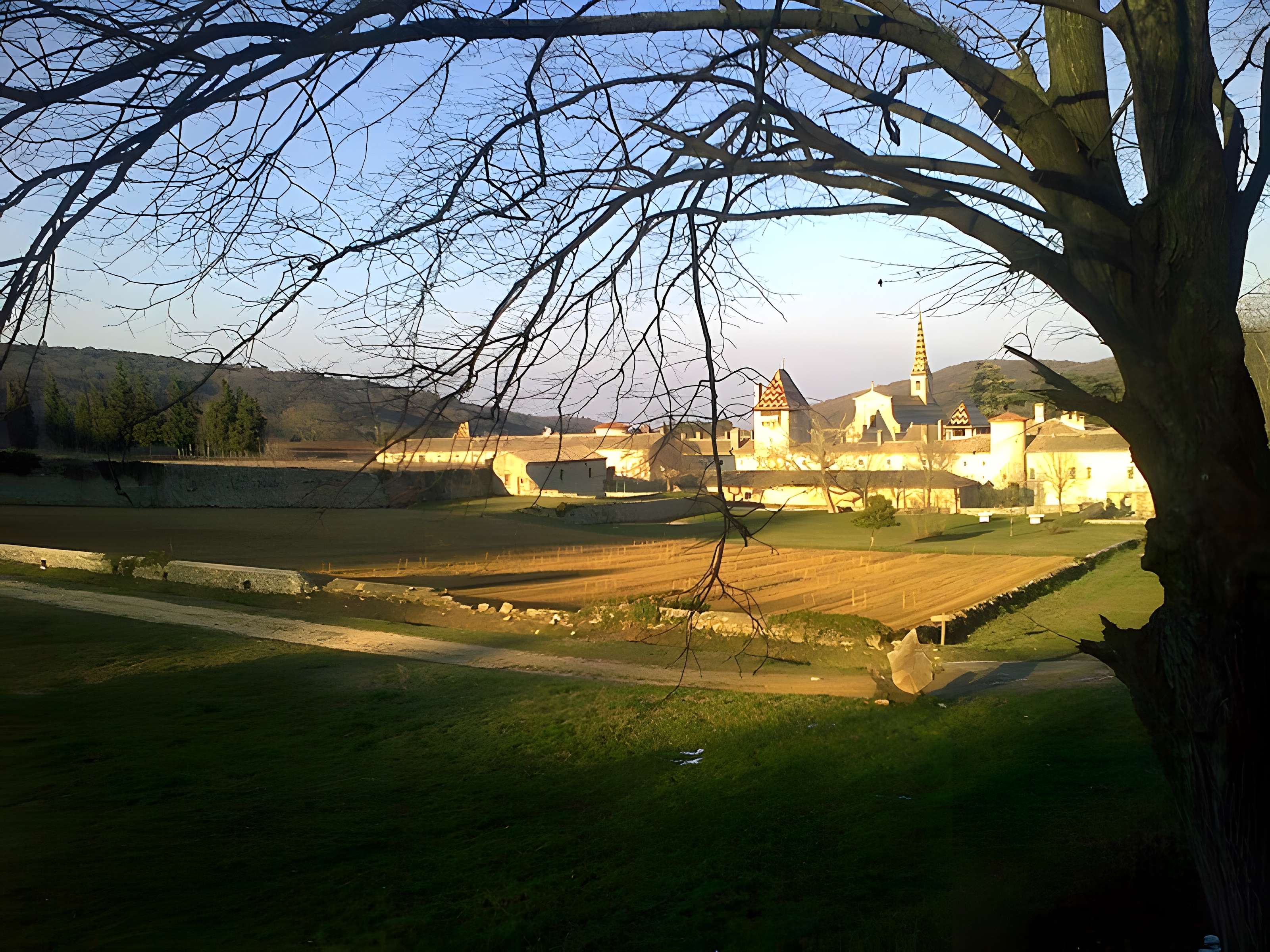 Chartreuse de Valbonne