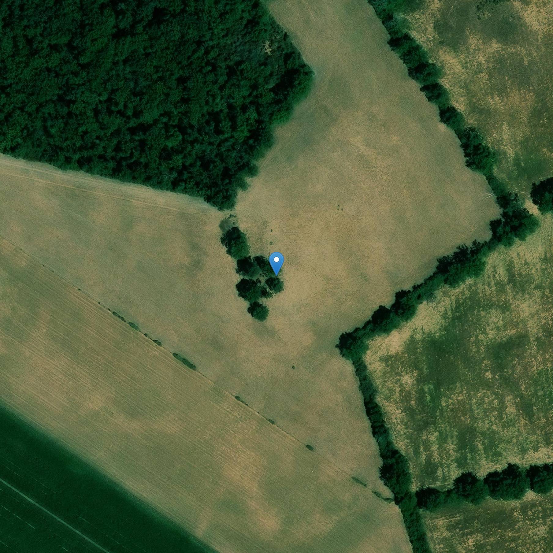 Photo de Dolmen and cromlech from Senevaut