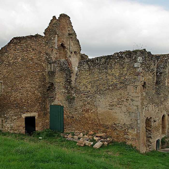 Photo de Restes du vieux château féodal
