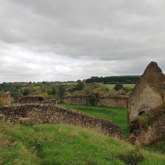 Photo de Restes du vieux château féodal