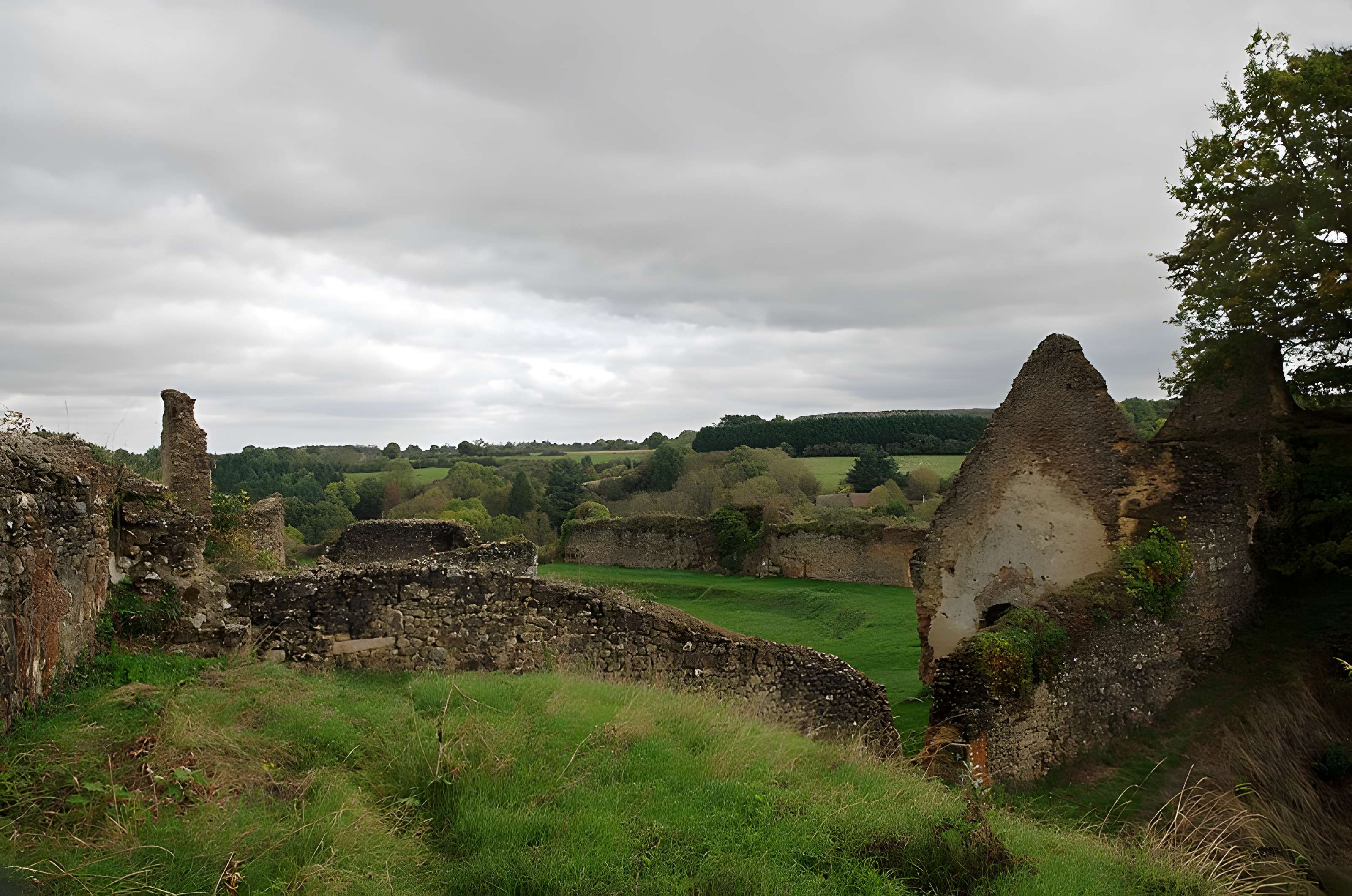 Restes du vieux château féodal
