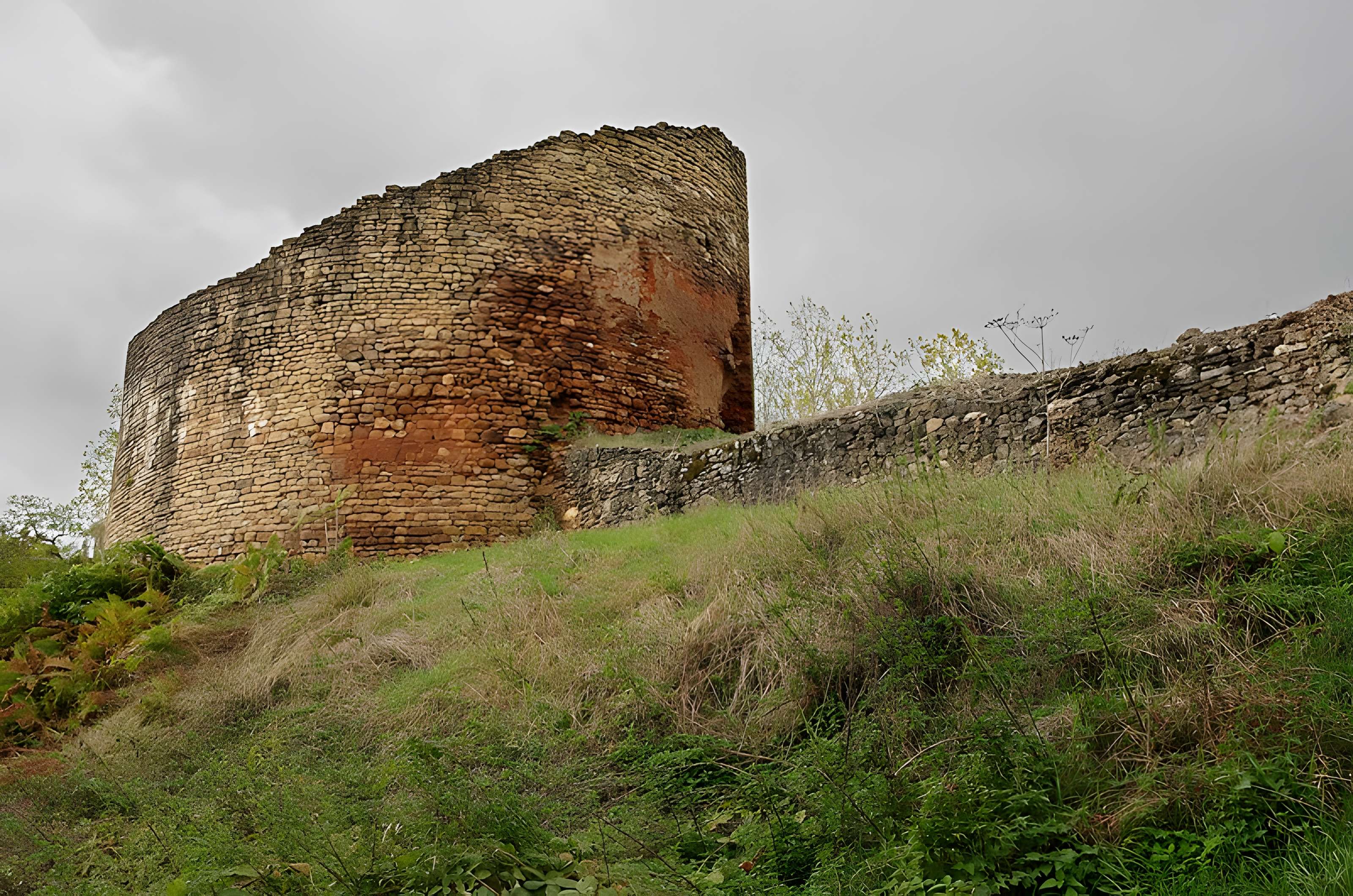 Restes du vieux château féodal