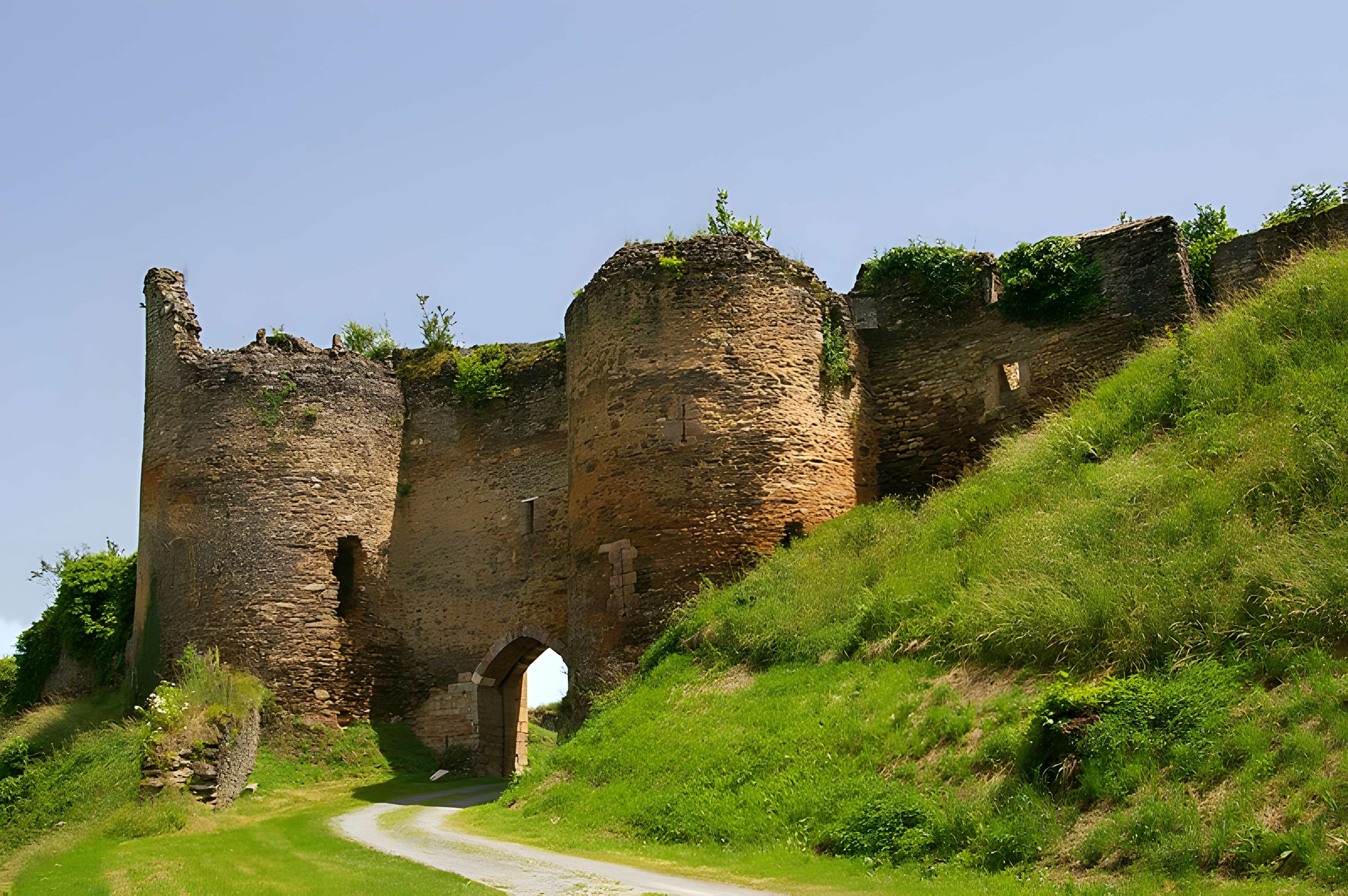 Restes du vieux château féodal