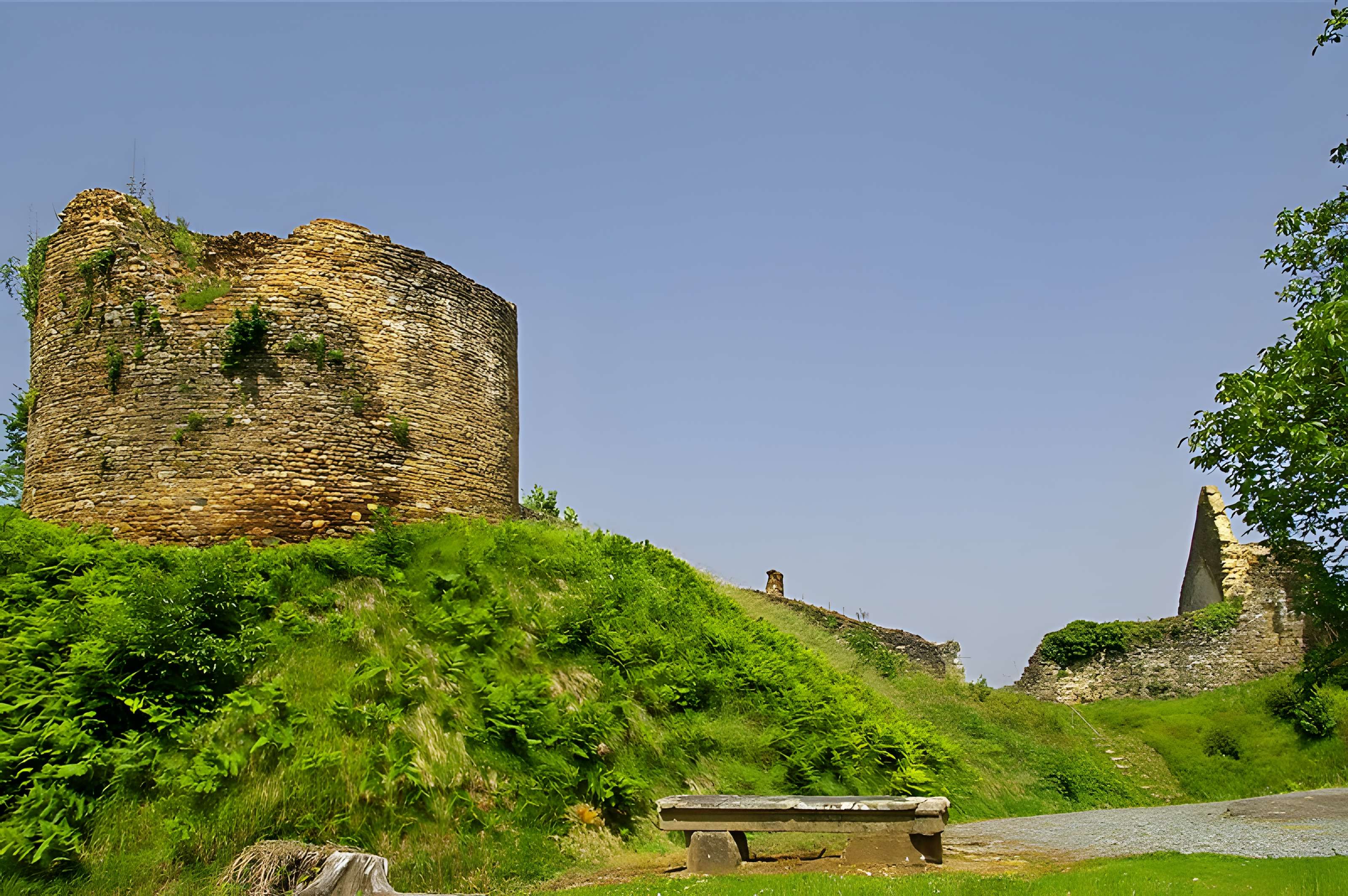 Restes du vieux château féodal