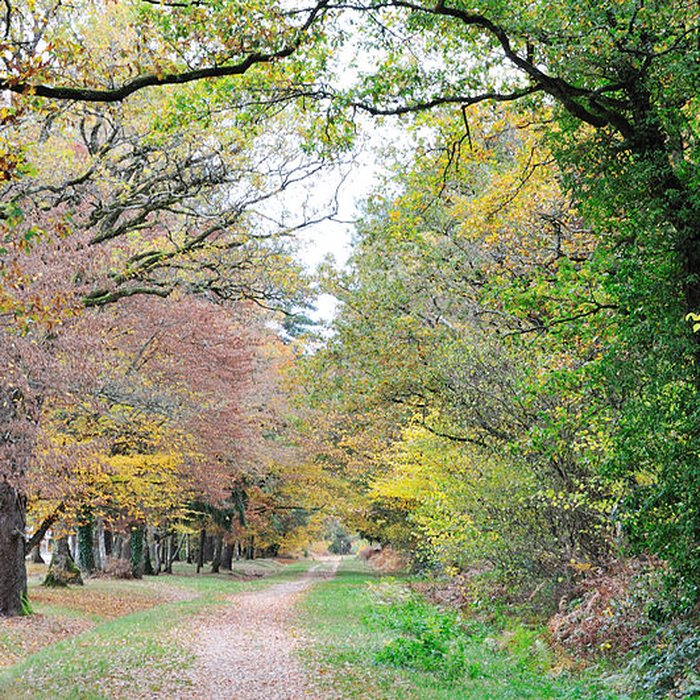 Photo de Ligne à voie ferrée métrique le Blanc-Argent ou B.A. sur le tronçon Luçay-le-Malé-Argy également sur communes de Argy, Ecueillé, Heugnes, Pellevoisin