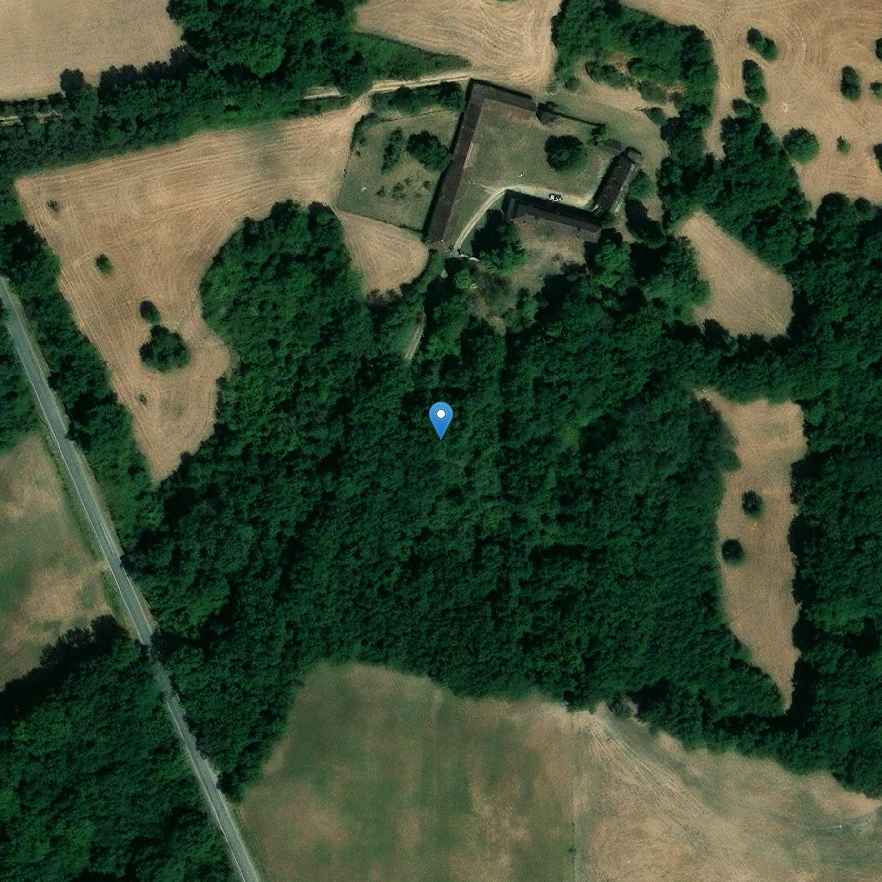 Photo de Ebeaupin alghe