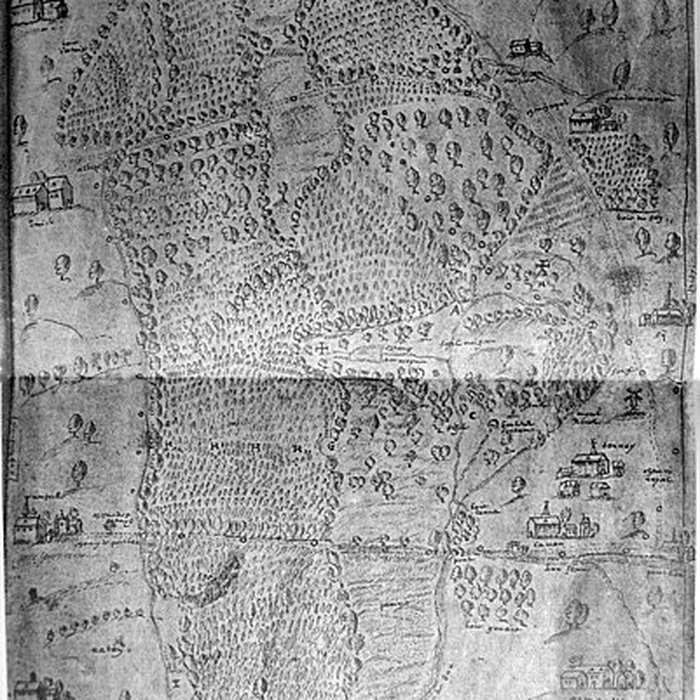 Photo de Chartreuse du Mont-Dieu