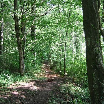 Chartreuse du Mont-Dieu