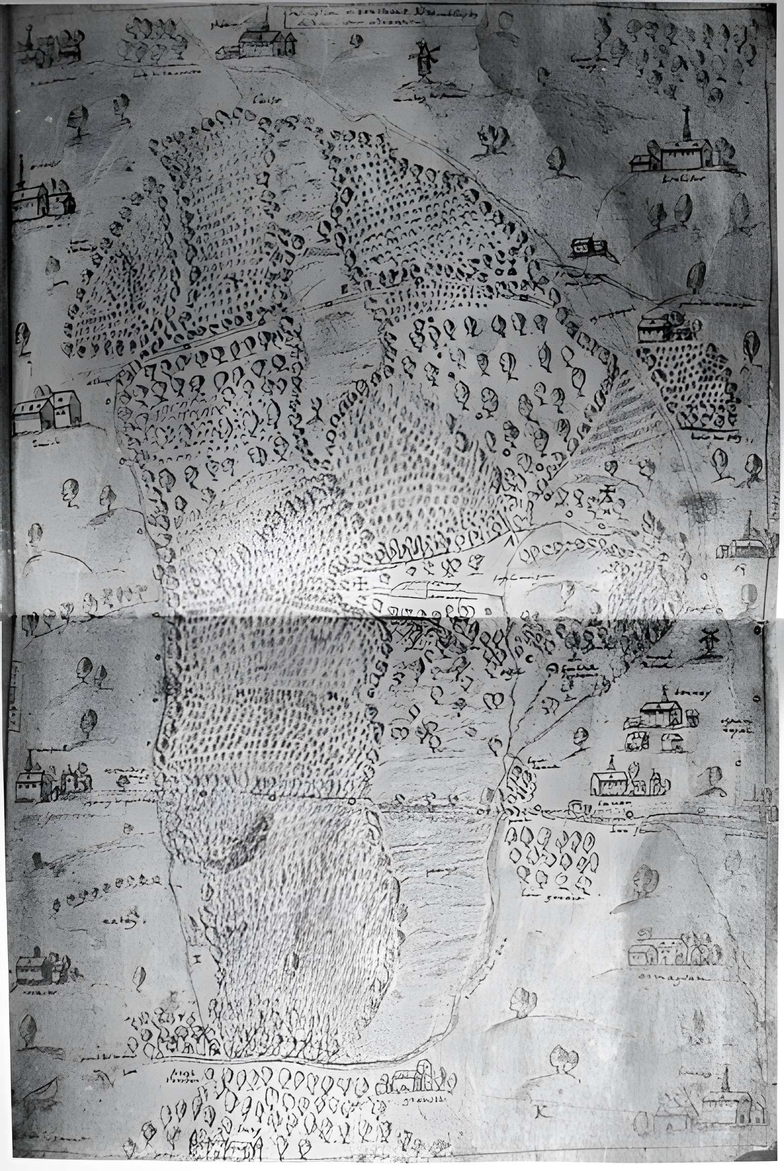 Chartreuse du Mont-Dieu