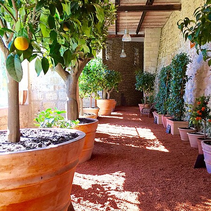 Photo de Château Gaillard