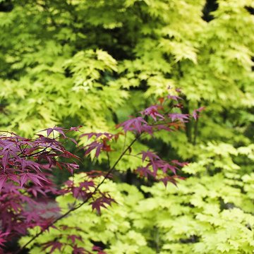 Domaine de Chanteloup