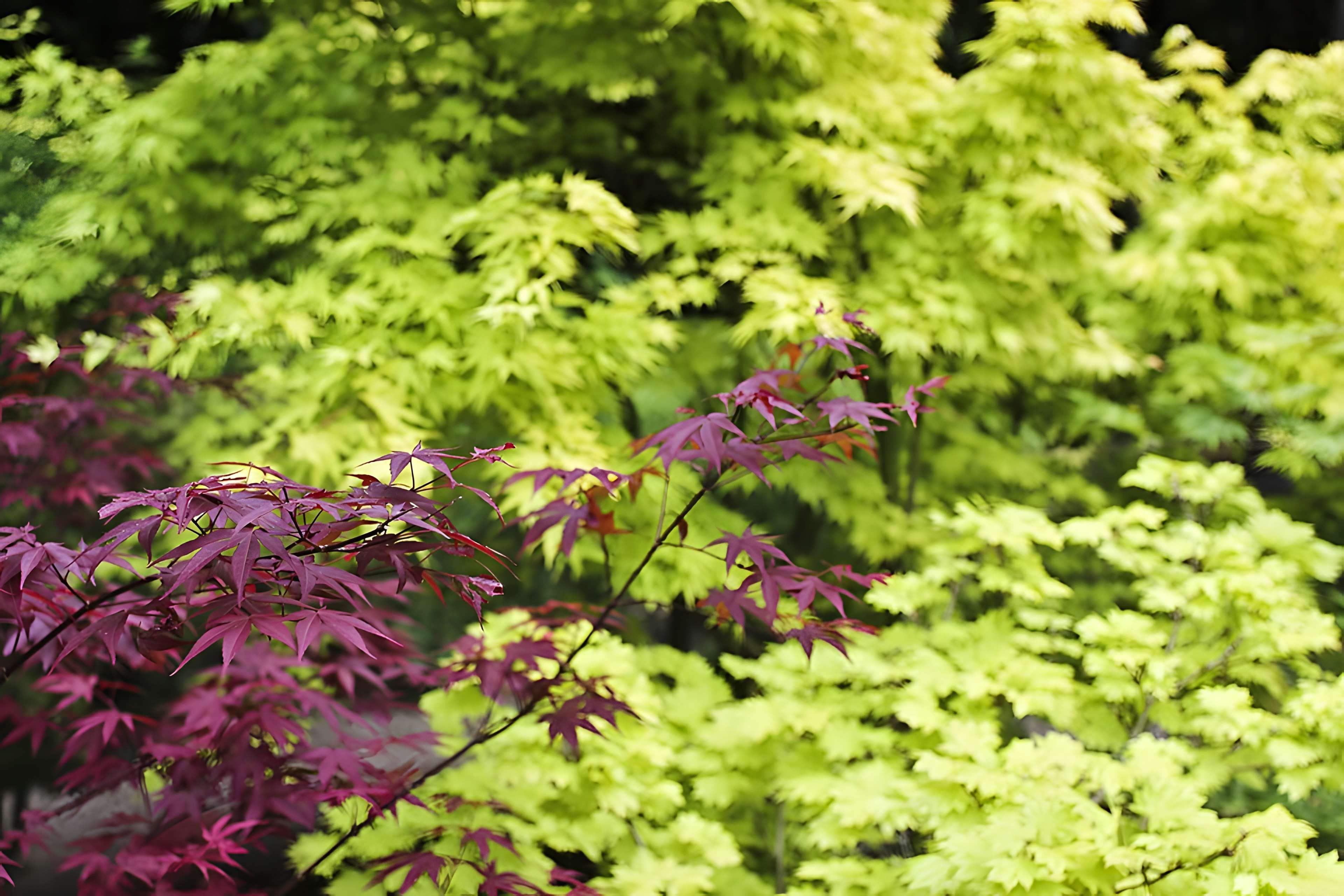 Domaine de Chanteloup