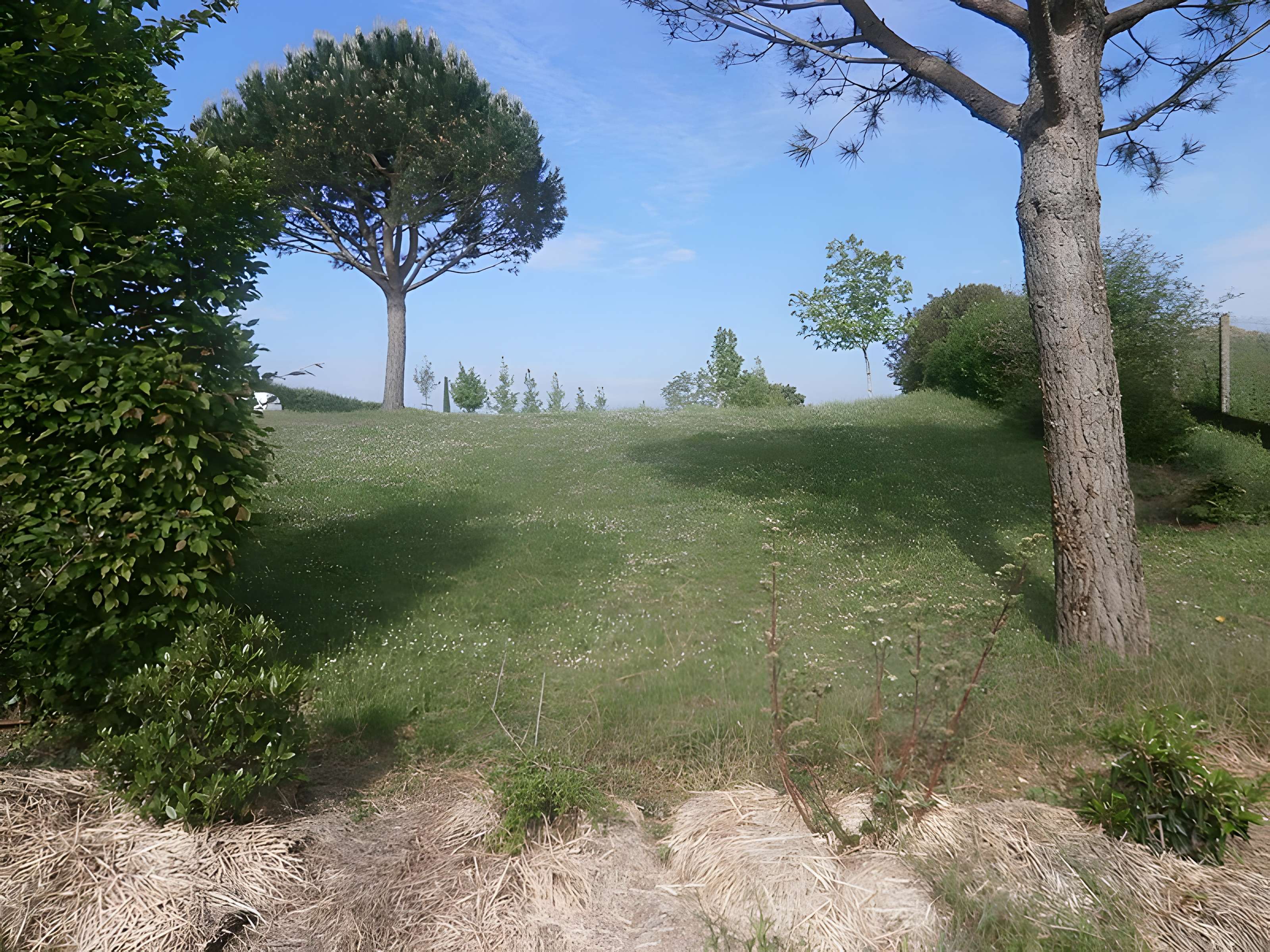 Oppidum protohistorique des Châteliers