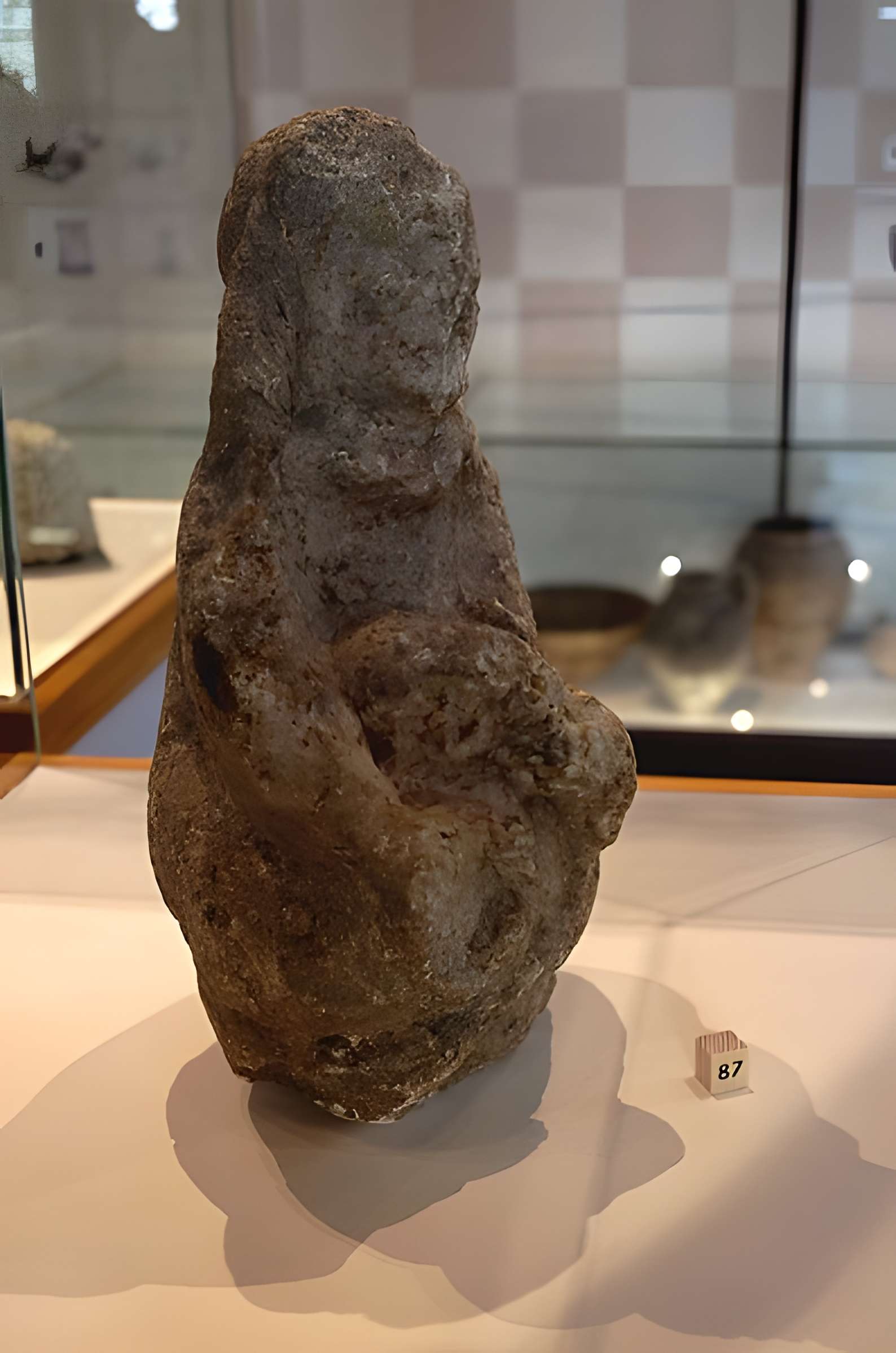 Oppidum protohistorique des Châteliers