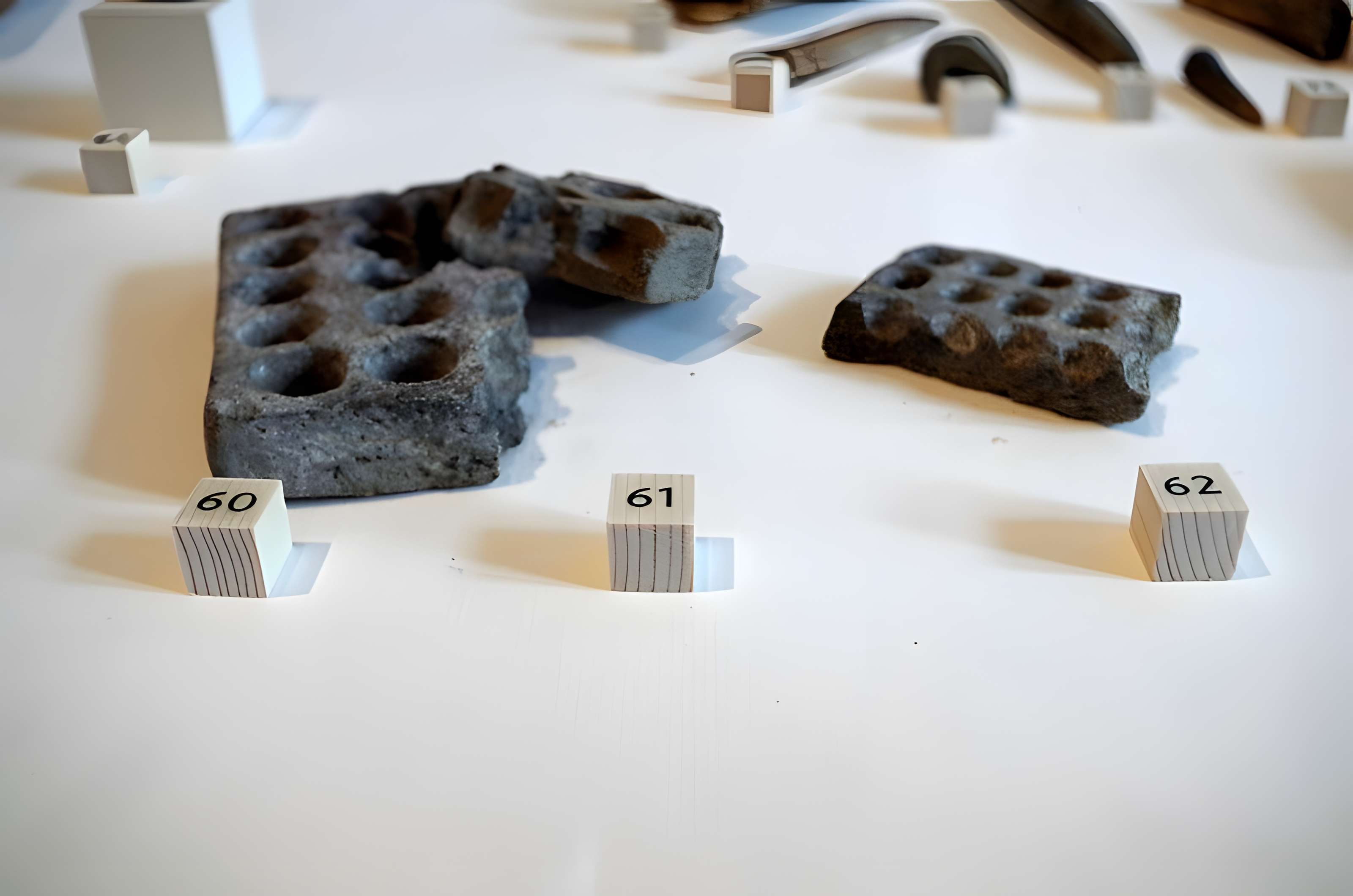 Oppidum protohistorique des Châteliers