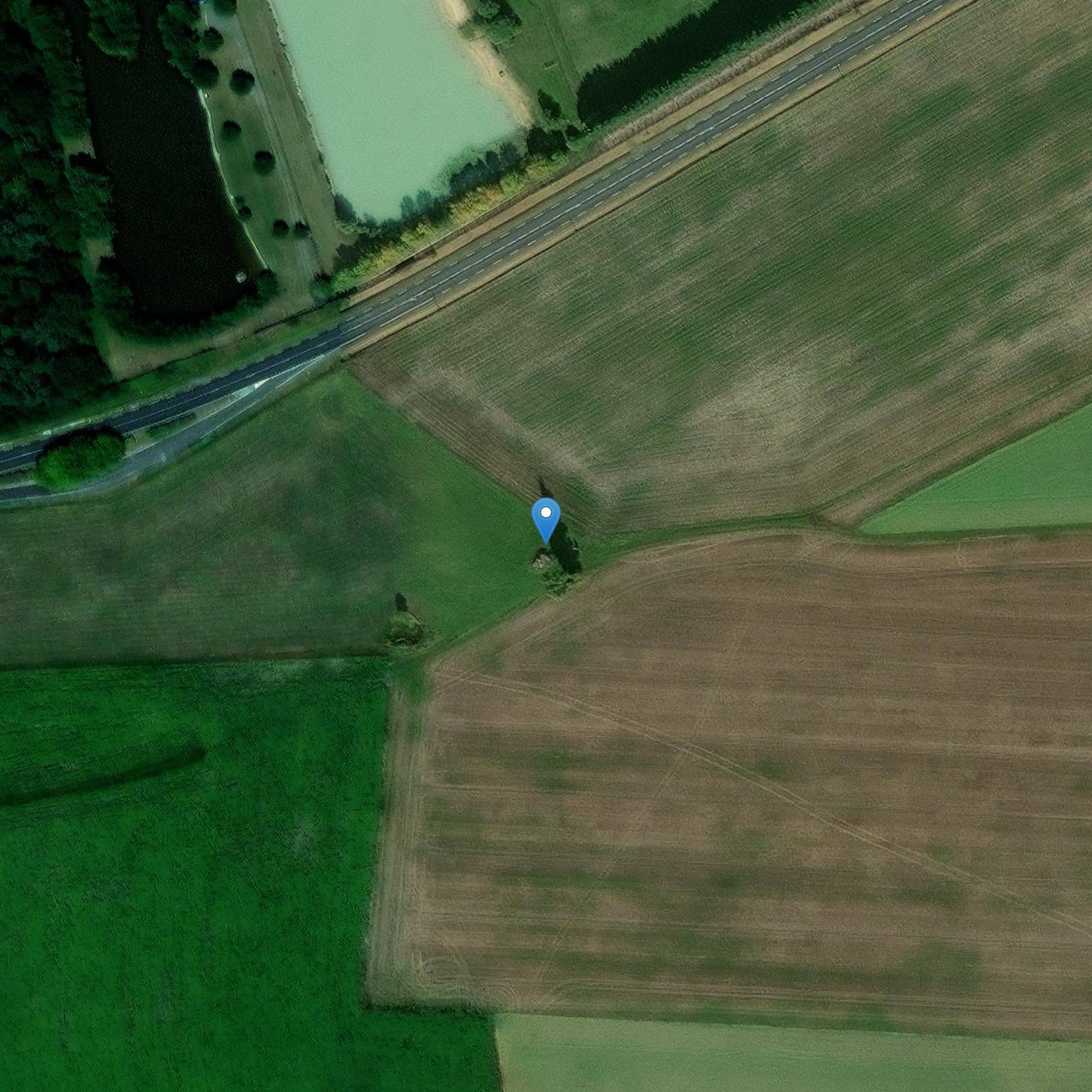 Photo de Menhir de Montifray oder Pierre du Pont-Champion