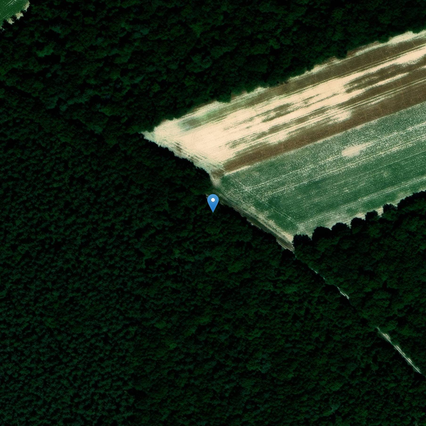 Photo de Due terminali