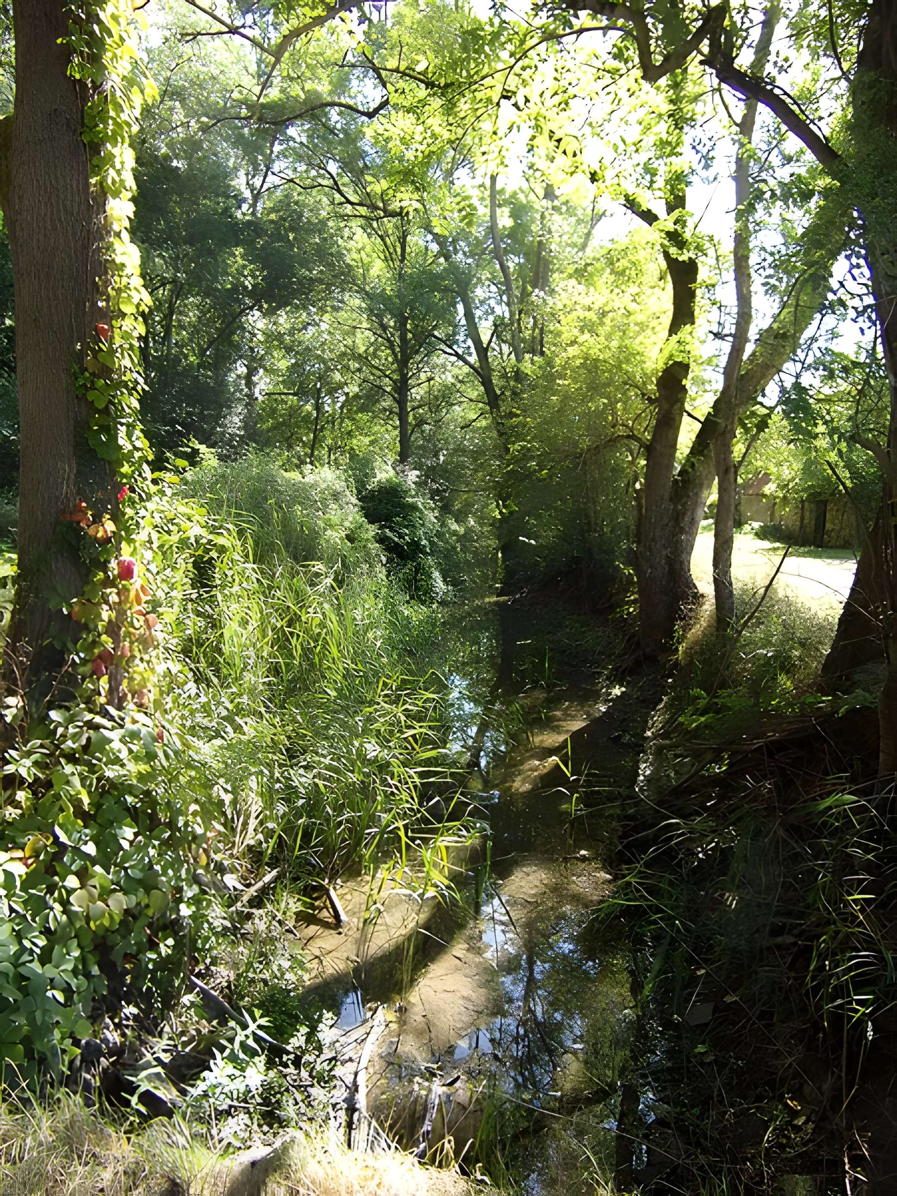 Ancienne abbaye bénédictine