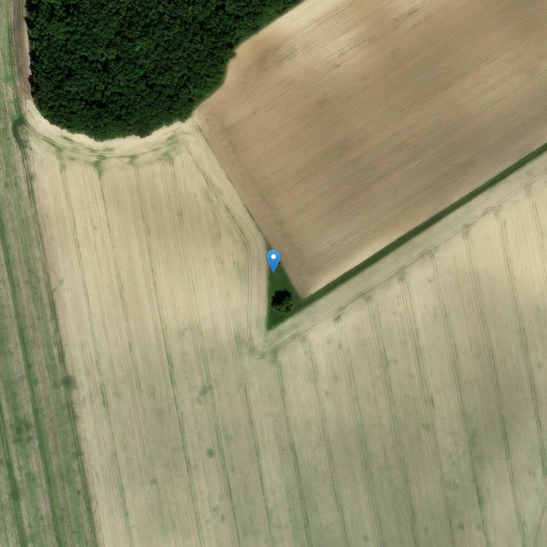 Photo de 多尔门说,奇伦·德·费伊莱特