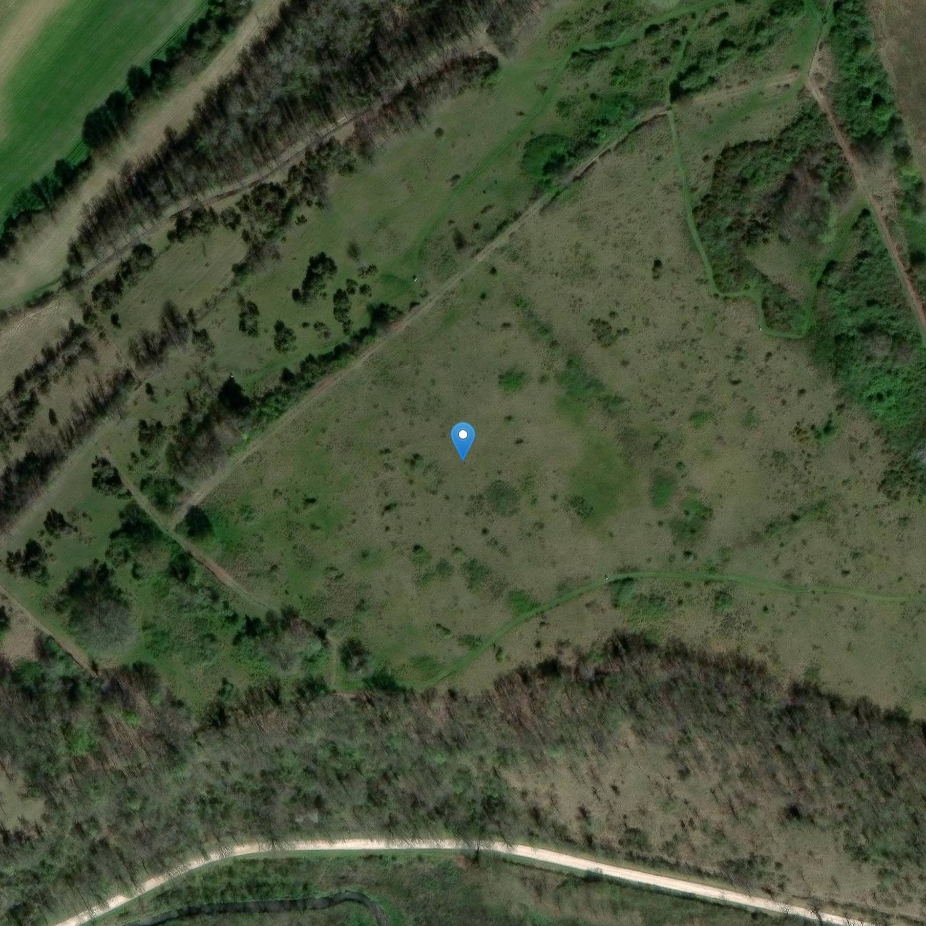 Photo de 史前阵营说,