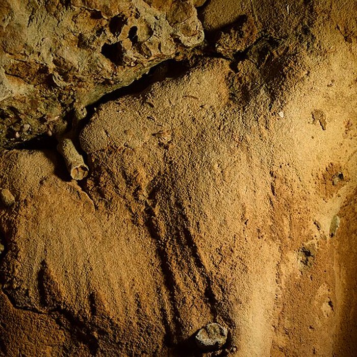Photo de Gisement paléolithique de la Roche-Cotard