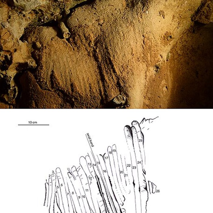 Photo de Gisement paléolithique de la Roche-Cotard