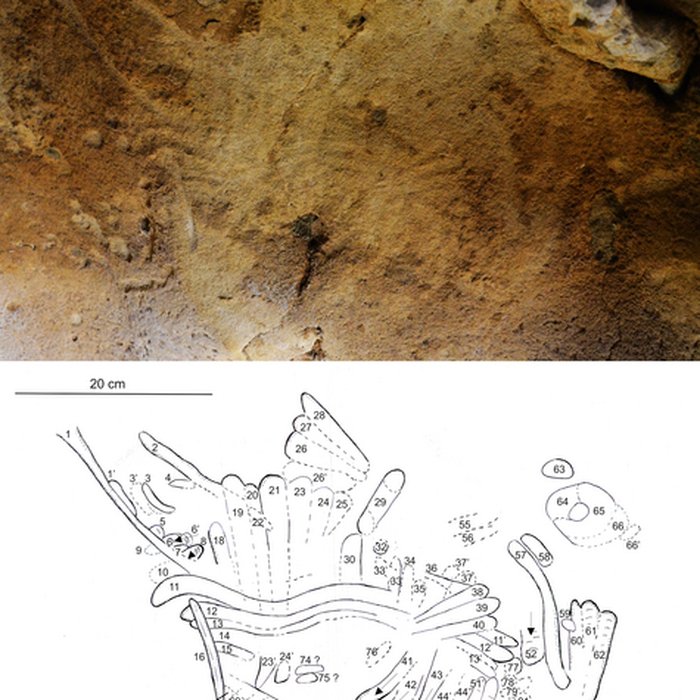 Photo de Gisement paléolithique de la Roche-Cotard