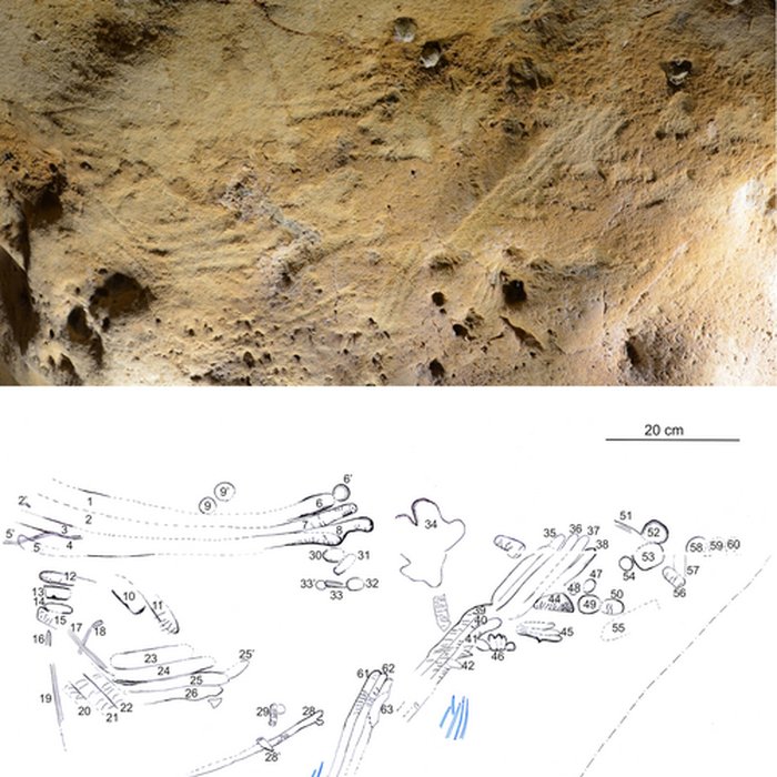 Photo de Gisement paléolithique de la Roche-Cotard
