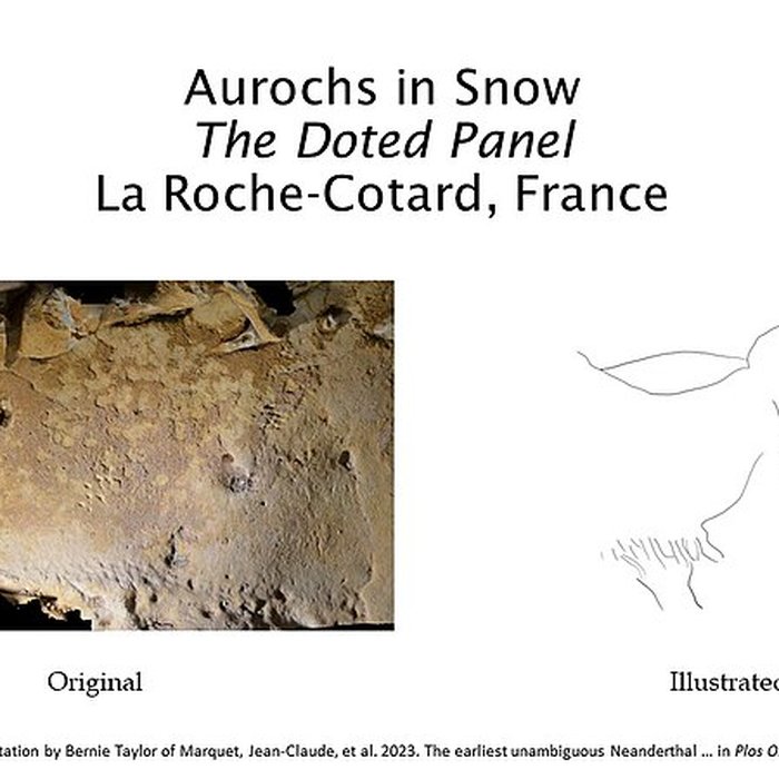 Photo de Gisement paléolithique de la Roche-Cotard