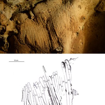 Gisement paléolithique de la Roche-Cotard