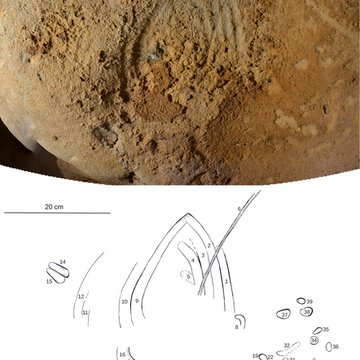 Gisement paléolithique de la Roche-Cotard