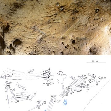 Gisement paléolithique de la Roche-Cotard