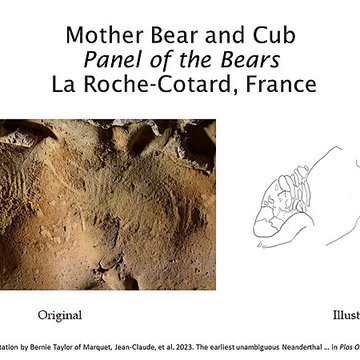 Gisement paléolithique de la Roche-Cotard