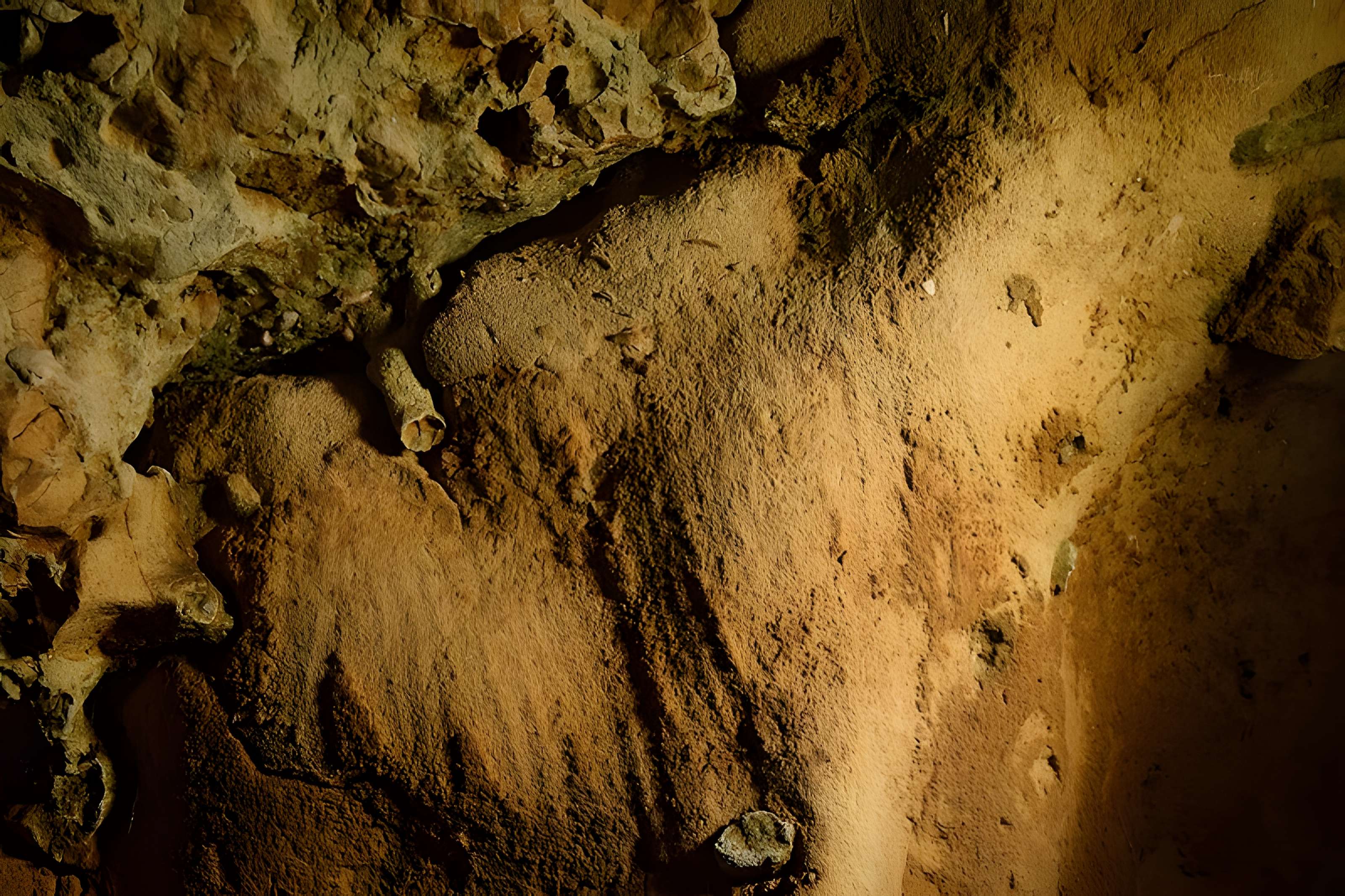 Gisement paléolithique de la Roche-Cotard
