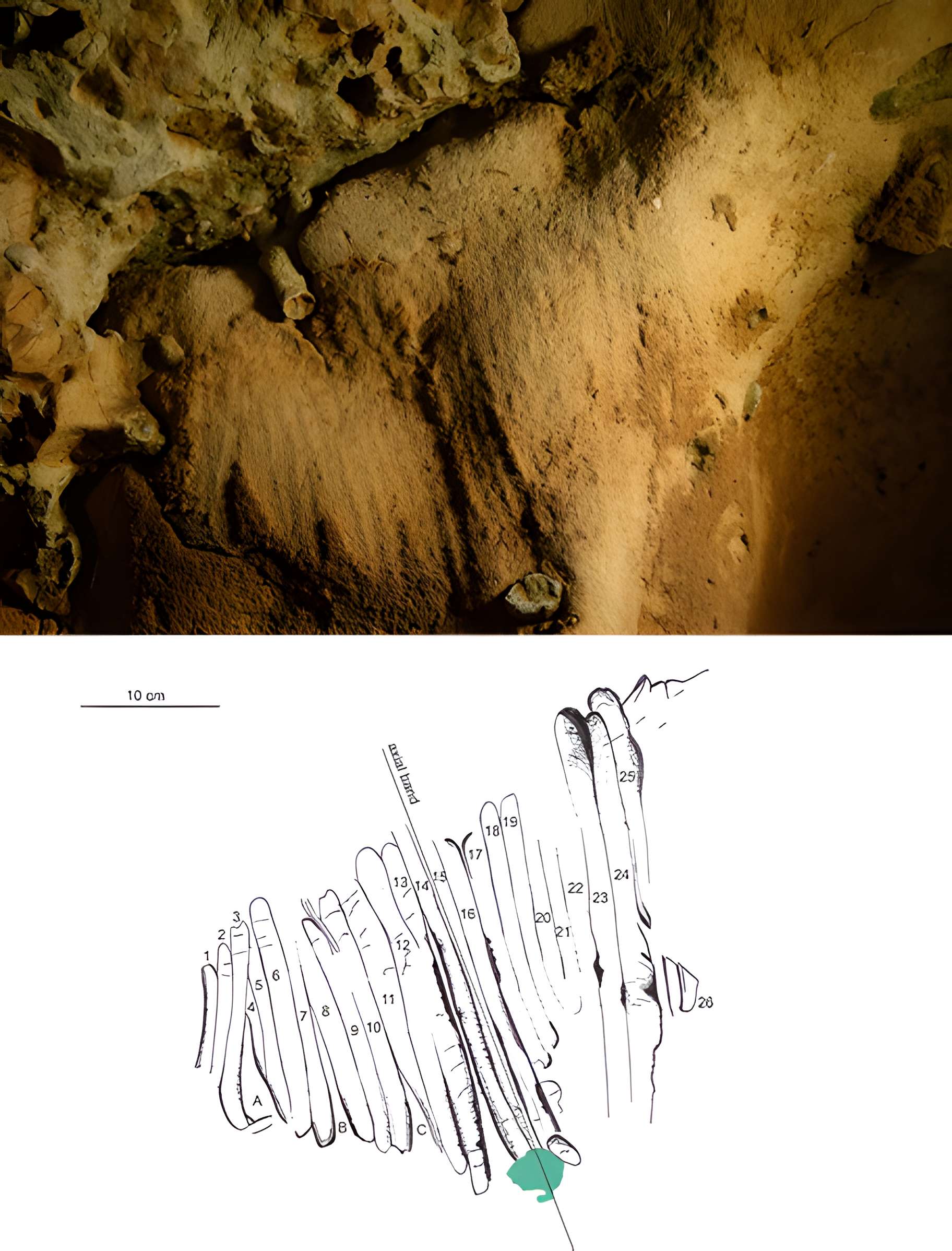 Gisement paléolithique de la Roche-Cotard