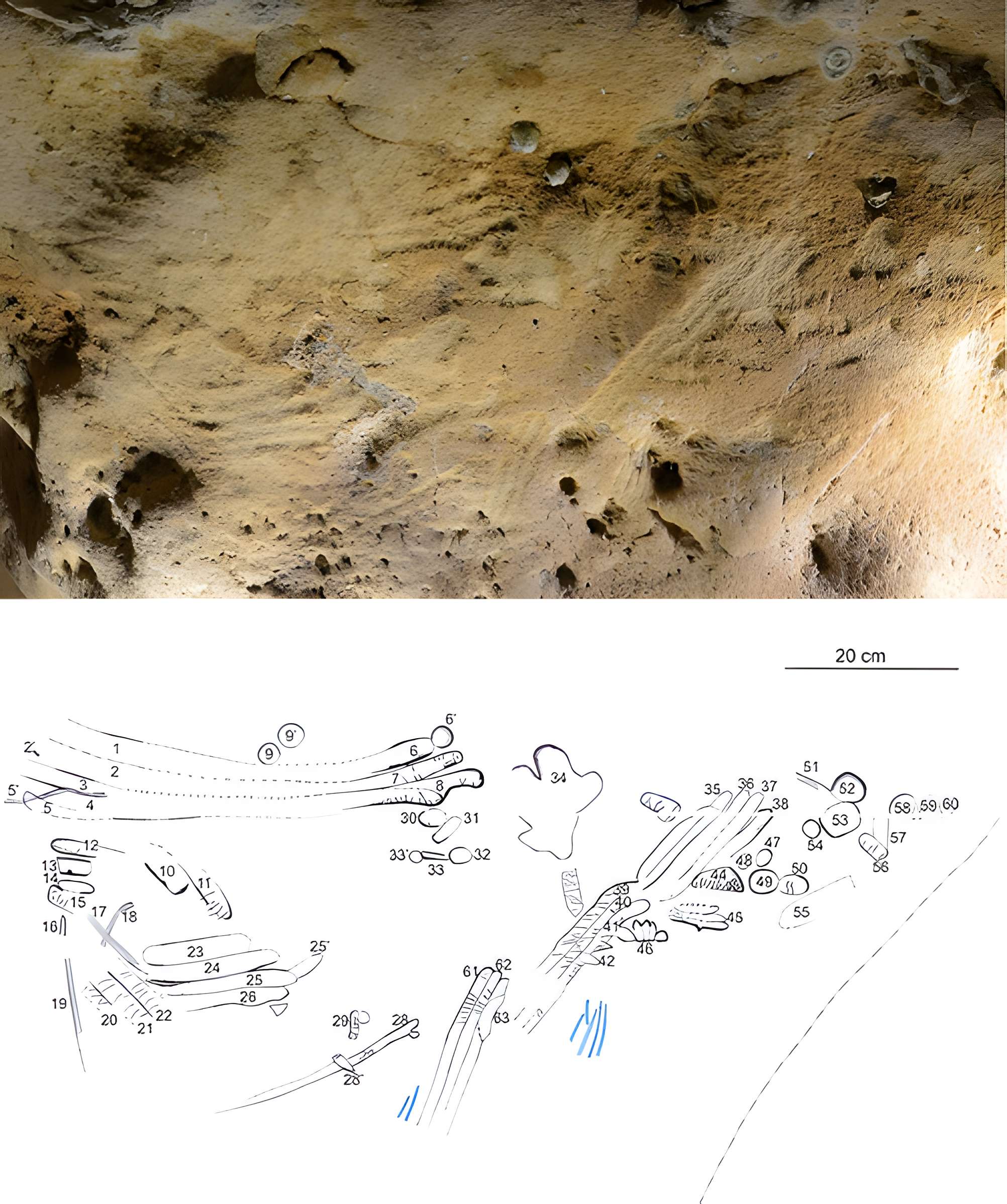 Gisement paléolithique de la Roche-Cotard