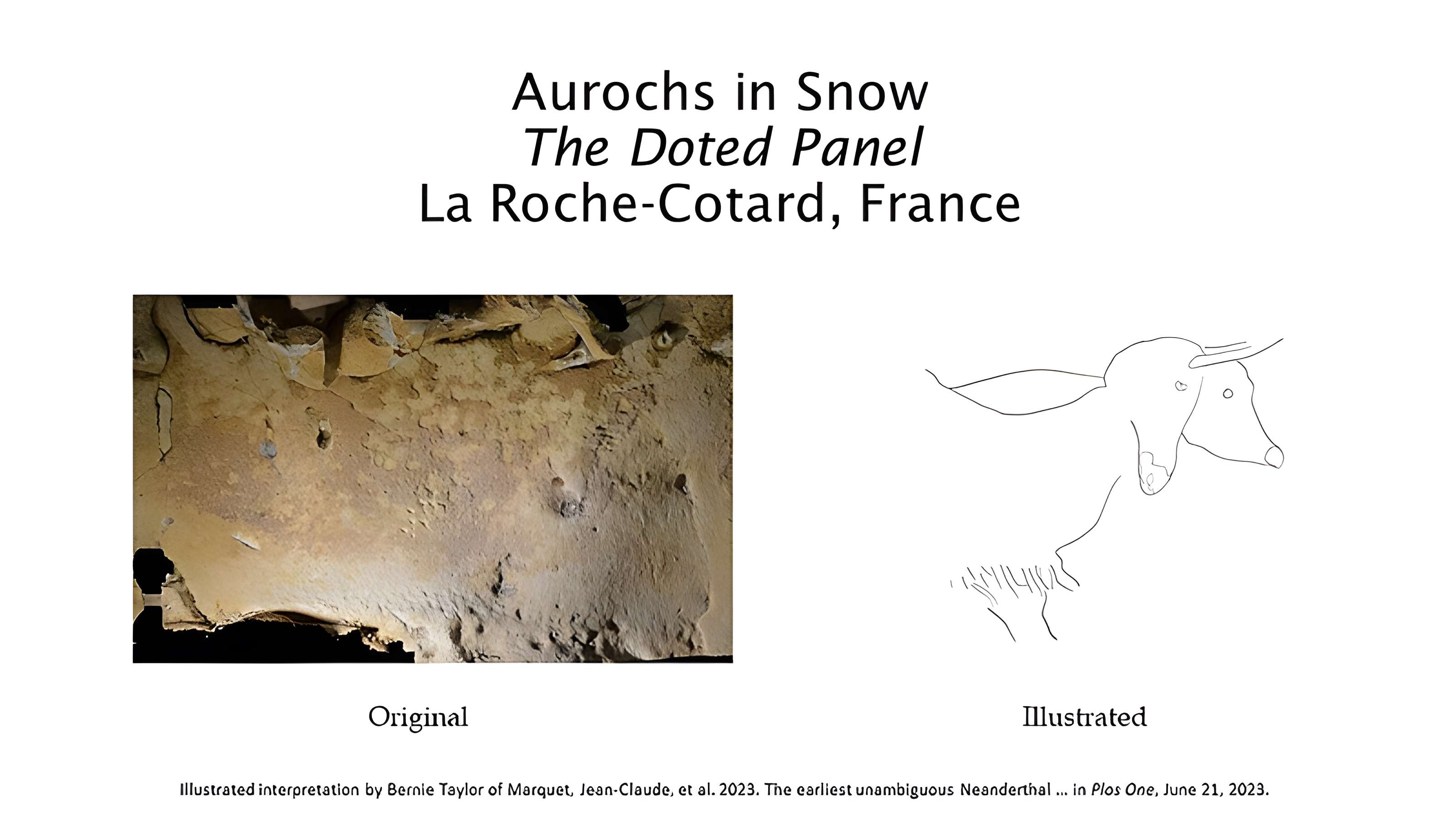 Gisement paléolithique de la Roche-Cotard